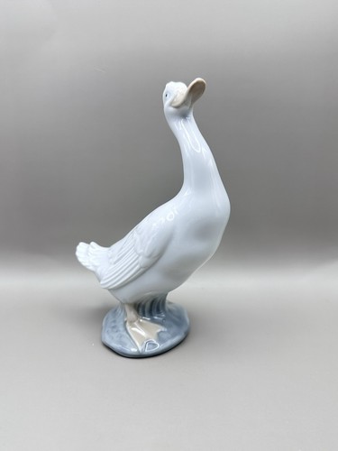 Nao duck goose standing - nao, duck/goose