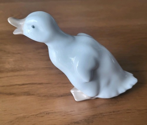 Quacking duck duckling nao - duck,